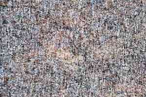 Ковролин AW Sierra 97 фото  | FLOORDEALER