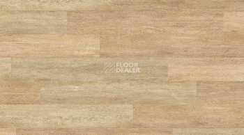 Кварцвиниловые полы Creation 55 0441_Honey_Oak фото 1 | FLOORDEALER