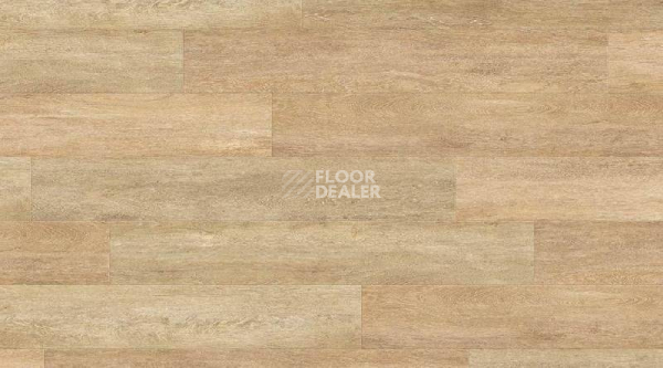Кварцвиниловые полы Creation 55 0441_Honey_Oak фото 1 | FLOORDEALER