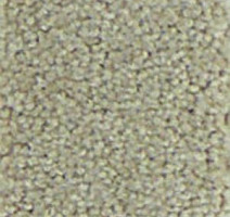 Ковролин Infloor Chiffon 810 фото 1 | FLOORDEALER