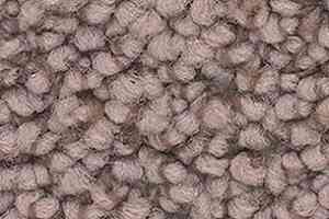 Ковролин Balsan Metis Metis 720 фото  | FLOORDEALER