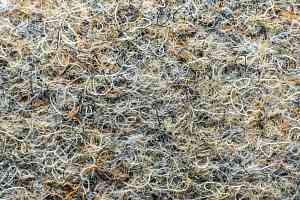 Ковролин Forbo Markant 11113 Taupe фото  | FLOORDEALER