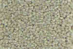 Ковролин Infloor Chiffon 810 фото  | FLOORDEALER