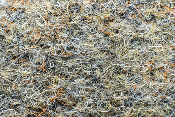 Ковролин Forbo Markant 11113 Taupe фото 1 | FLOORDEALER