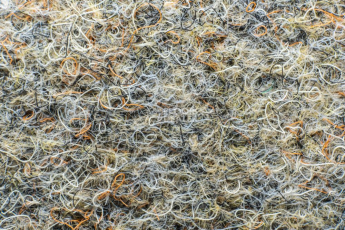 Ковролин Forbo Markant 11113 Taupe фото 1 | FLOORDEALER