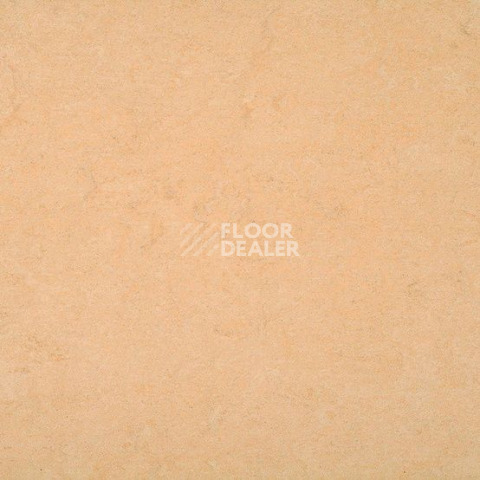 Линолеум Gerflor Marmorette DLW 2.5mm 0098 Desert Beige фото 1 | FLOORDEALER
