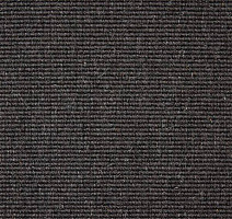 Ковролин Carpet Concept Eco Wool 595016 фото 1 | FLOORDEALER