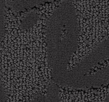 Ковролин Balsan Hanoi 960 фото 1 | FLOORDEALER