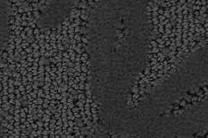 Ковролин Balsan Hanoi 960 фото  | FLOORDEALER