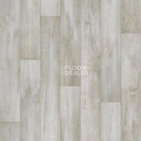 Линолеум Tarkett Европа GARDA 2 фото 1 | FLOORDEALER