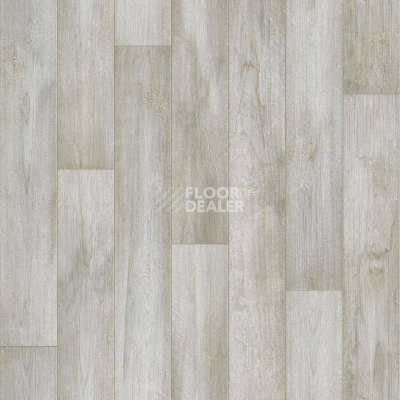 Линолеум Tarkett Европа GARDA 2 фото 1 | FLOORDEALER