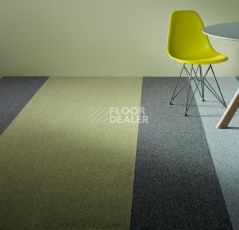 Forbo Tessera Basis 388 Meadow фото 2 | FLOORDEALER