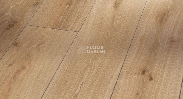 Ламинат Parador Trendtime 6 1371173 Дуб Белая Известь фото 1 | FLOORDEALER