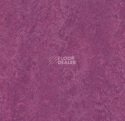 Кварцвиниловые полы Marmoleum Modular Colour 3242 фото 1 | FLOORDEALER