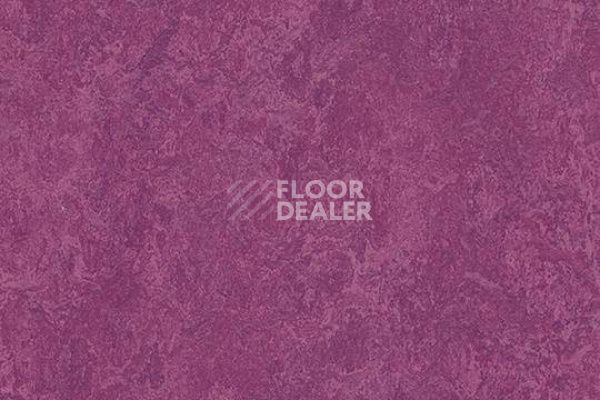 Виниловая плитка ПВХ Marmoleum Modular Colour 3242 фото 1 | FLOORDEALER