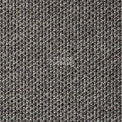 Ковролин Carpet Concept Eco Tec 280008 - 52741 фото 1 | FLOORDEALER