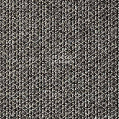 Ковролин Carpet Concept Eco Tec 280008 - 52741 фото 1 | FLOORDEALER