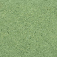 Линолеум Marmorette DLW  2mm 0100 Frog Green фото 1 | FLOORDEALER