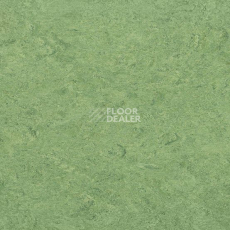 Линолеум Gerflor Marmorette DLW  2mm 0100 Frog Green фото 1 | FLOORDEALER