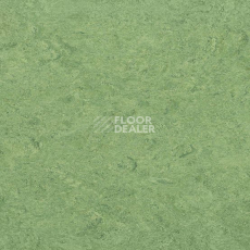 Gerflor Marmorette DLW  2mm 0100 Frog Green фото 1 | FLOORDEALER