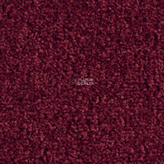 Balsan Bolero 590 фото 1 | FLOORDEALER