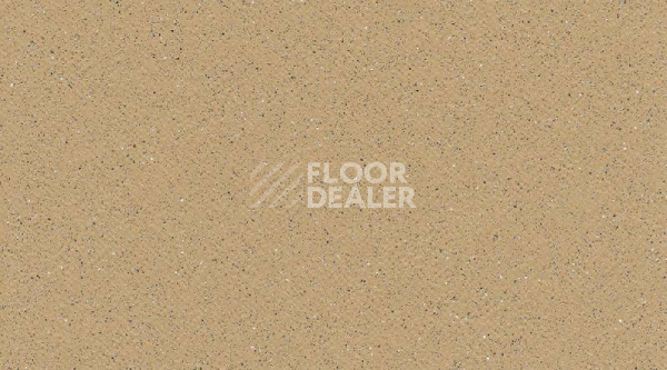 Линолеум Gerflor Tarasafe Standard 7302_Sahara фото 1 | FLOORDEALER