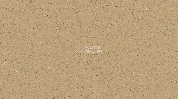 Линолеум Tarasafe Standard 7302_Sahara фото 1 | FLOORDEALER