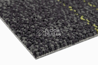 Neuflor Contours 2008-13 + New Leaf фото 4 | FLOORDEALER