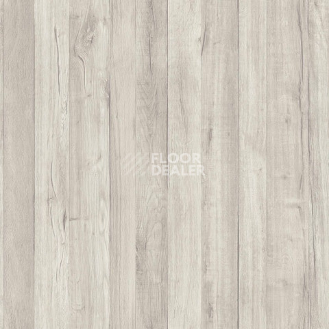 Линолеум Tarkett Loft RENE 1 фото 1 | FLOORDEALER