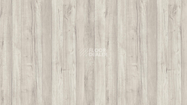 Линолеум Tarkett Loft RENE 1 фото 1 | FLOORDEALER