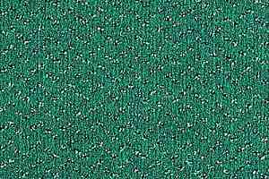 Ковролин Balta ITC Fortesse Fortesse 48 фото  | FLOORDEALER