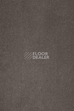 Ковролин AW Masquerade Varuna 49 фото 1 | FLOORDEALER