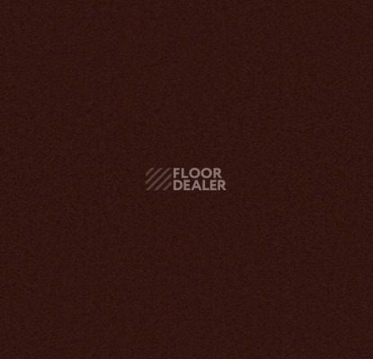 Ковролин Forbo Showtime Nuance 900224 фото 1 | FLOORDEALER