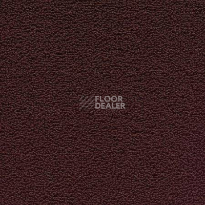 Ковролин Desso Marathon 9111 фото 1 | FLOORDEALER