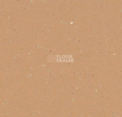 Линолеум Forbo SureStep Original 172952 blush фото 1 | FLOORDEALER
