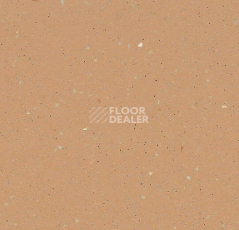 Линолеум Forbo SureStep Original 172952 blush фото 1 | FLOORDEALER