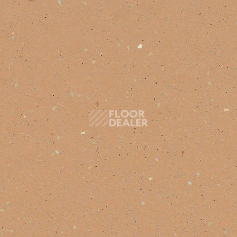Линолеум Forbo SureStep Original 172952 blush фото 1 | FLOORDEALER