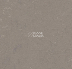 Линолеум Forbo Marmoleum Decibel 370235 liquid clay фото 1 | FLOORDEALER