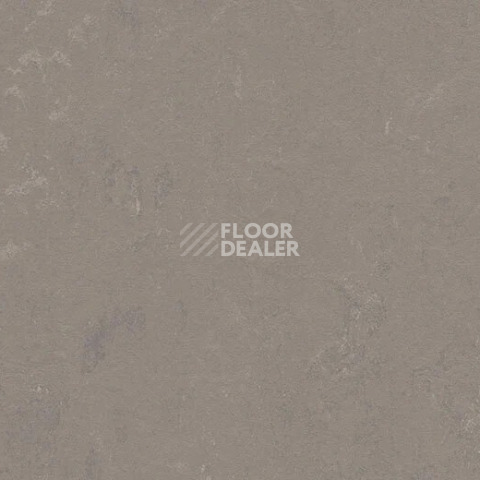 Линолеум Forbo Marmoleum Decibel 370235 liquid clay фото 1 | FLOORDEALER