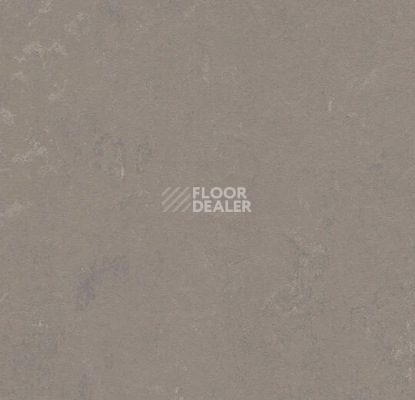 Линолеум Forbo Marmoleum Decibel 370235 liquid clay фото 1 | FLOORDEALER