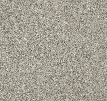 Ковролин ITC Carpe Diem Carpe Diem 095 фото 1 | FLOORDEALER