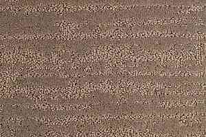 Ковролин Territoires Sierra 771 фото  | FLOORDEALER