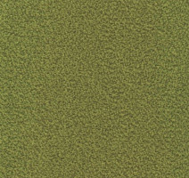 Ковролин Sintelon Velveto 59612 фото 1 | FLOORDEALER