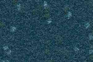 Ковролин Finett Vision Focus 705570 фото  | FLOORDEALER