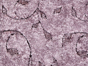 ITC Alaska Alaska 417 фото 1 | FLOORDEALER