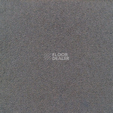 Ковролин Sintelon Eden 39230 фото 1 | FLOORDEALER