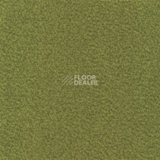 Ковролин Sintelon Velveto 59612 фото 1 | FLOORDEALER
