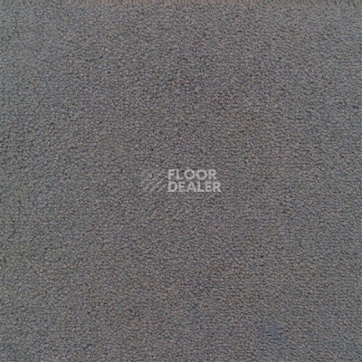 Ковролин Sintelon Eden 39230 фото 1 | FLOORDEALER