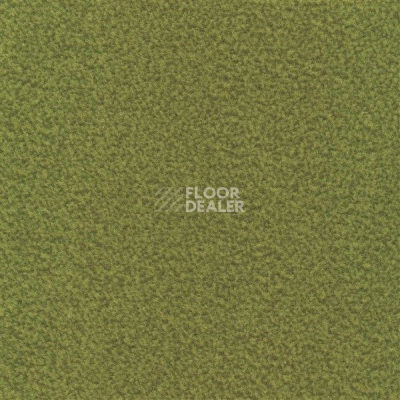 Ковролин Sintelon Velveto 59612 фото 1 | FLOORDEALER