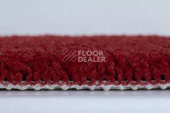 Balsan Serenite 570 фото 5 | FLOORDEALER